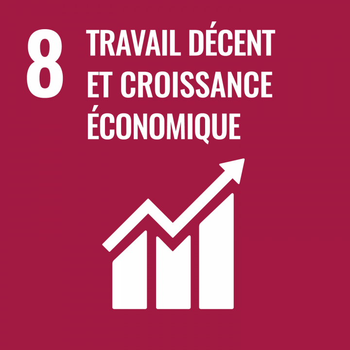 SDG 8 - TRAVAIL DÉCENT ET CROISSANCE ÉCONOMIQUE