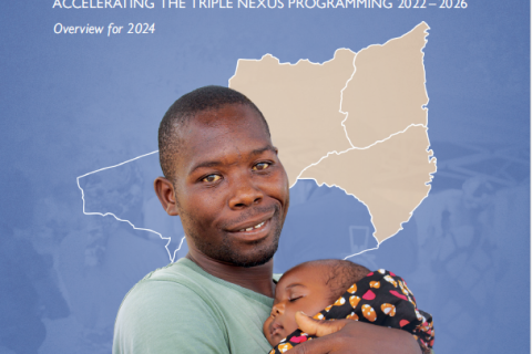 IOM HDPN Roadmap for Northern Mozambique 2022-2026: Overview for 2024
